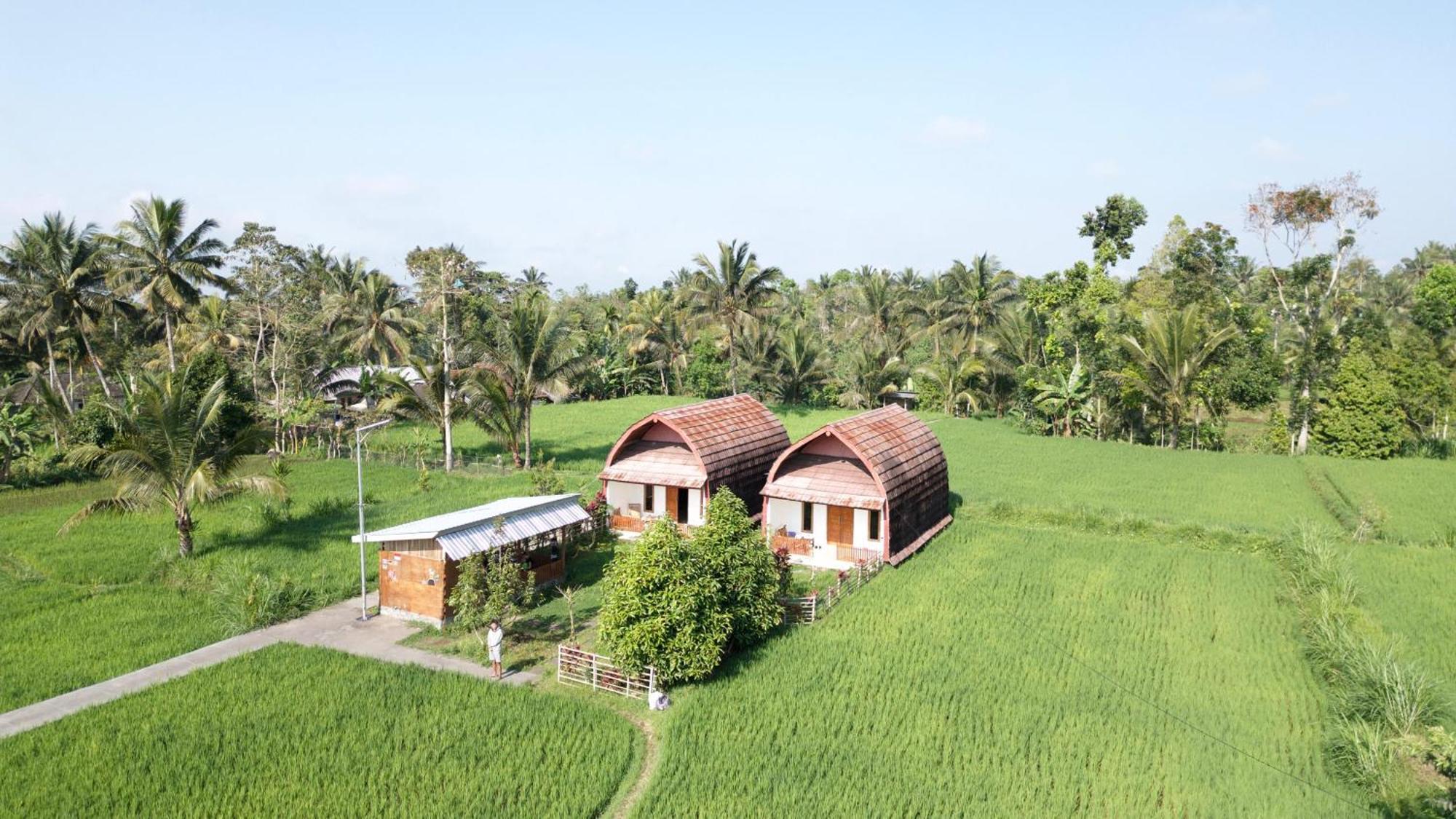 Villa Bale Tetebatu Extérieur photo