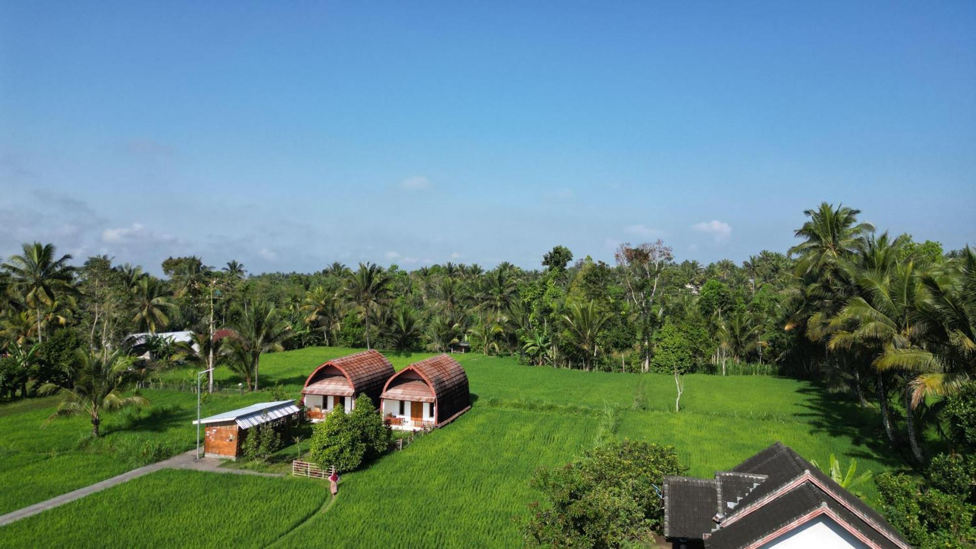 Villa Bale Tetebatu Extérieur photo