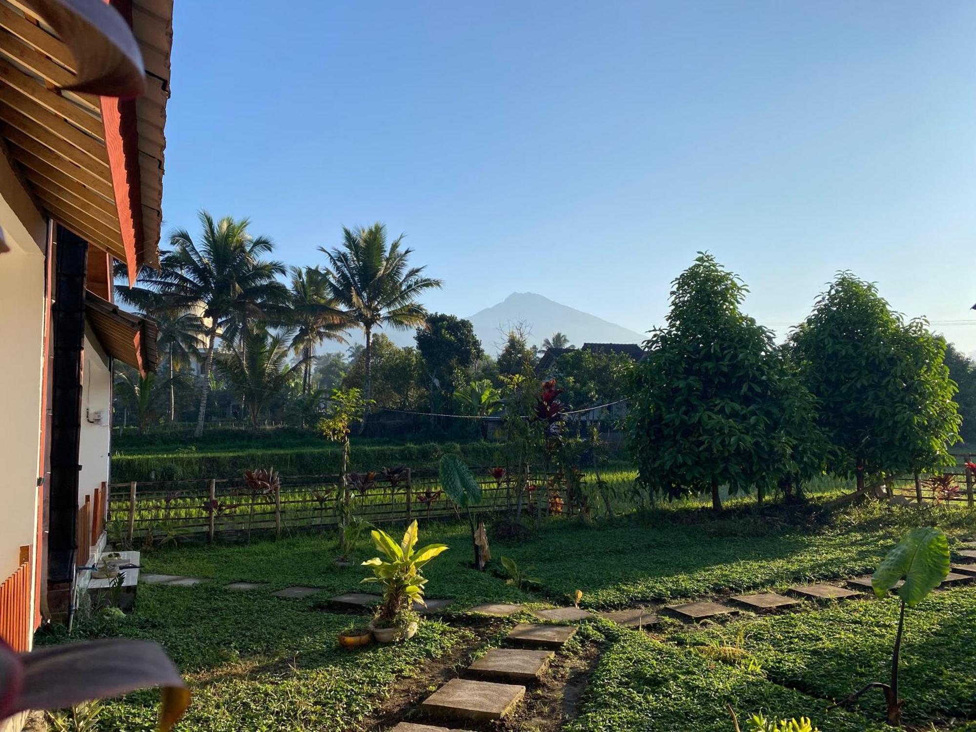 Villa Bale Tetebatu Extérieur photo